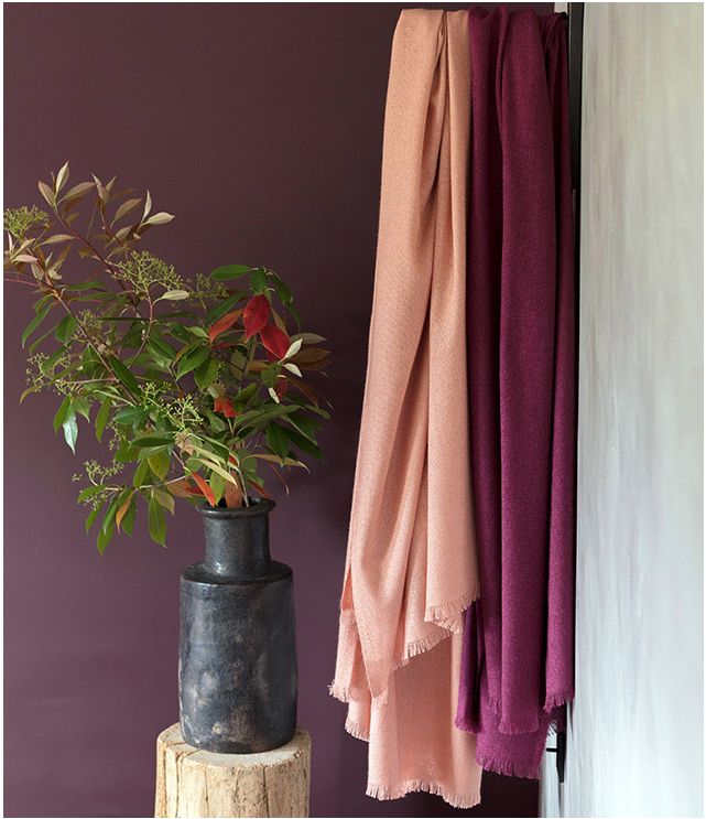 Saumon & Rouge Velours
