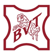 Logo Brun de Vian-Tiran