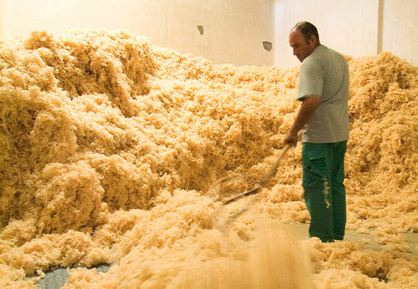 Assemblage des fibres lainières